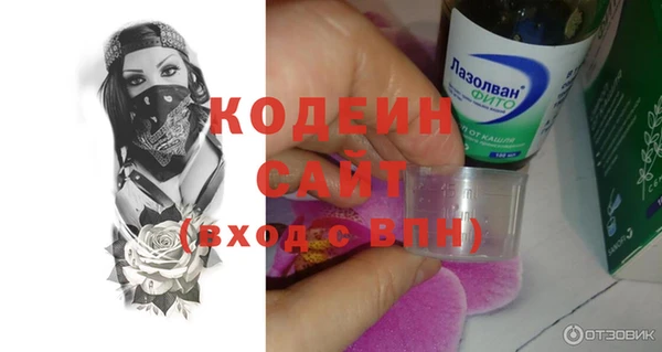 шишки Верея