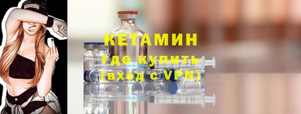 шишки Верея
