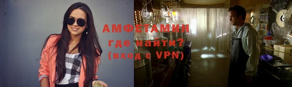 шишки Верея