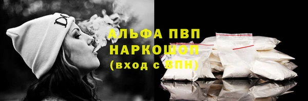 шишки Верея