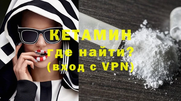 шишки Верея