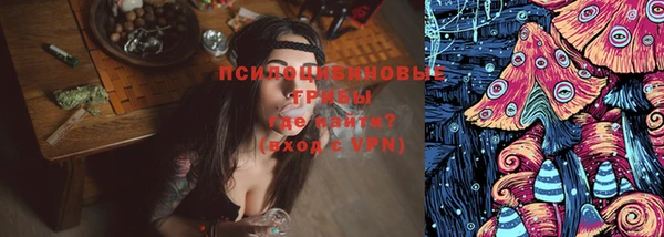 мдпв Верхний Тагил