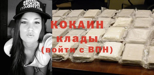 шишки Верея