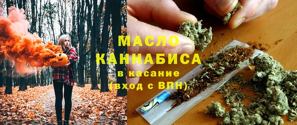 шишки Верея
